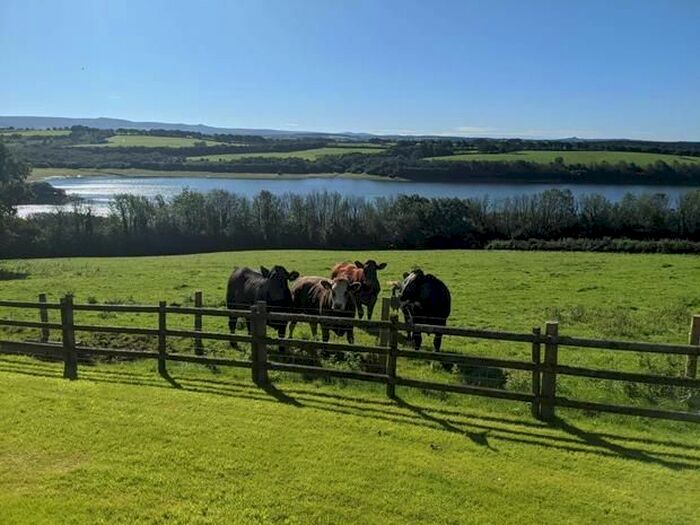 3 Bedroom Detached House To Rent In Germansweek, Beaworthy, EX21