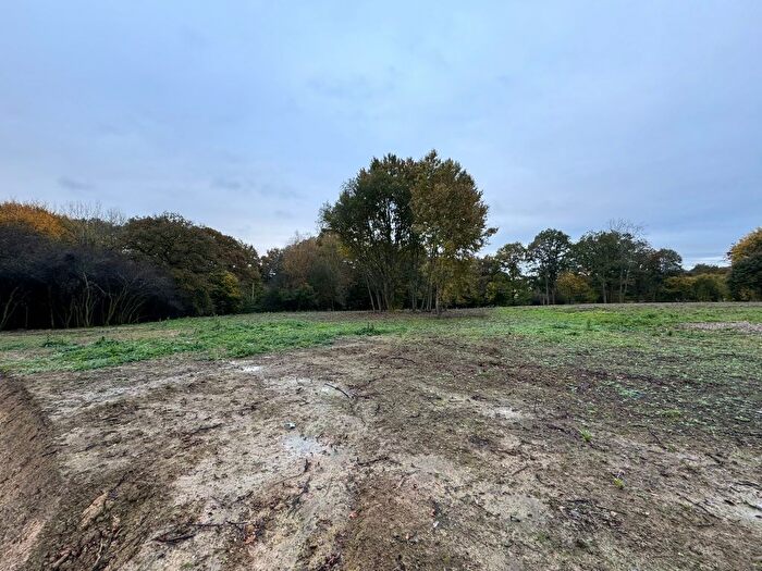 Land For Sale In Land Off, Dorking Road, Kingsfold, Horsham, West Sussex, RH12