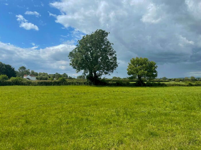 Farm Land For Sale In Meareway, Meare, BA6