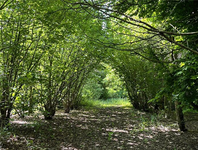 Land To Rent In Ockenden Road, Upminster, RM14