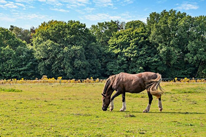 2 Bedroom Equestrian Property For Sale In Bradley Road, Warminster, Wiltshire, BA12