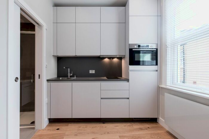 Studio To Rent In Arodene Road, London, SW2