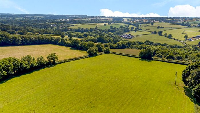 Land For Sale In Cotleigh, Honiton, Devon, EX14