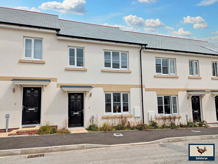 3 Bedroom Terraced House For Sale In Vixen Tor, Tavistock, PL19