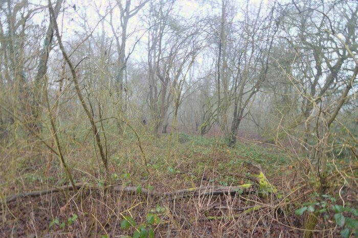 Land For Sale In Buckwyns, Billericay, CM12