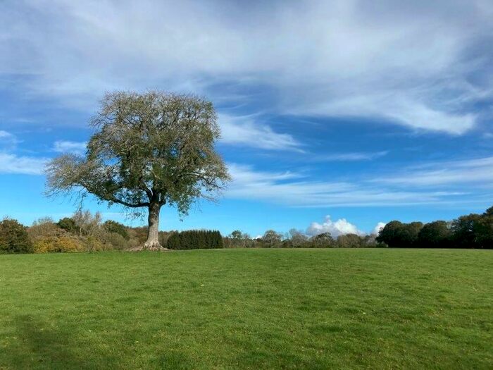 Land For Sale In Hawkley, Liss GU33