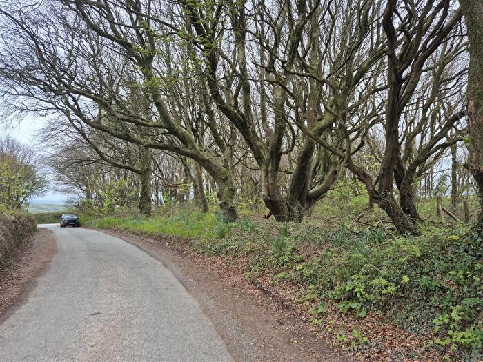 Land For Sale In Georgeham, Braunton, EX33