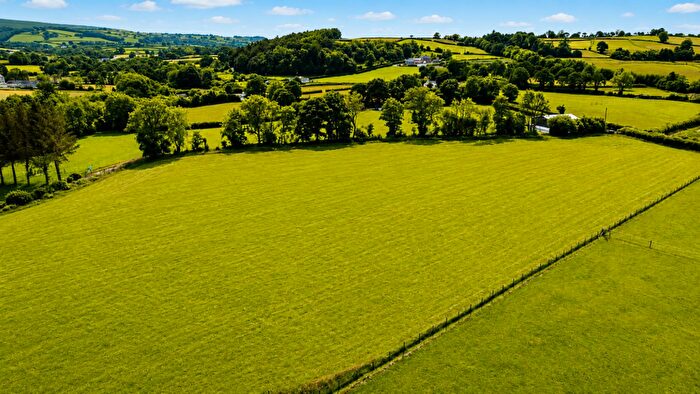 Farm Land For Sale In Maesycrugiau, Pencader, SA39