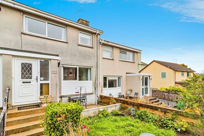 3 Bedroom Terraced House For Sale In Decoy Road, Newton Abbot, TQ12
