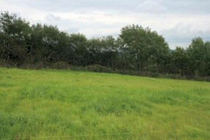 Land For Sale In Plot, Hollacombe, Holsworthy, Clawton, Devon, EX22