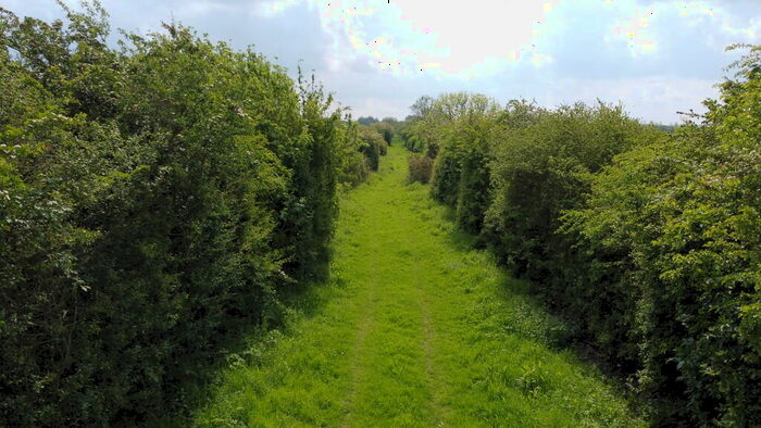 Farm Land For Sale In Lot - C. . Acres Of Amenity Land, Authorpe, LN11