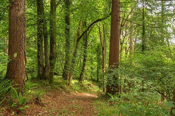 Farm For Sale In Stoodleigh, Tiverton, Devon, EX16