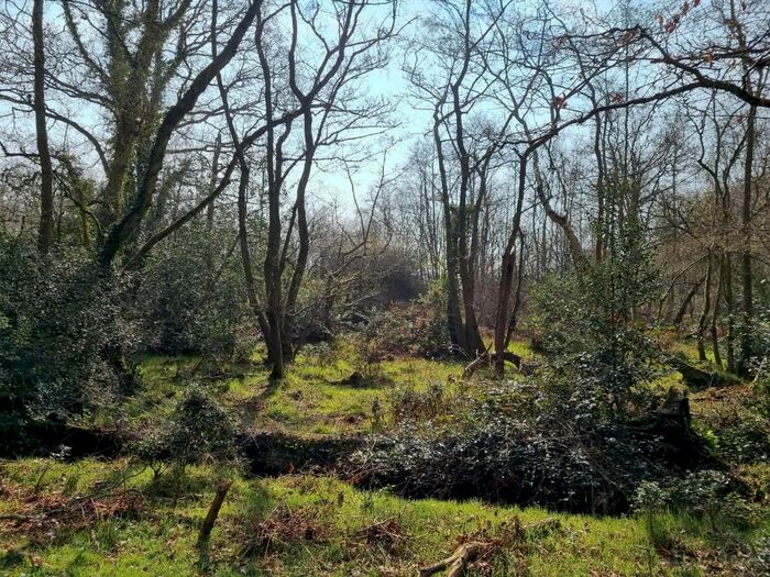 Land For Sale In Land At Reading Road, Aldermaston, RG26