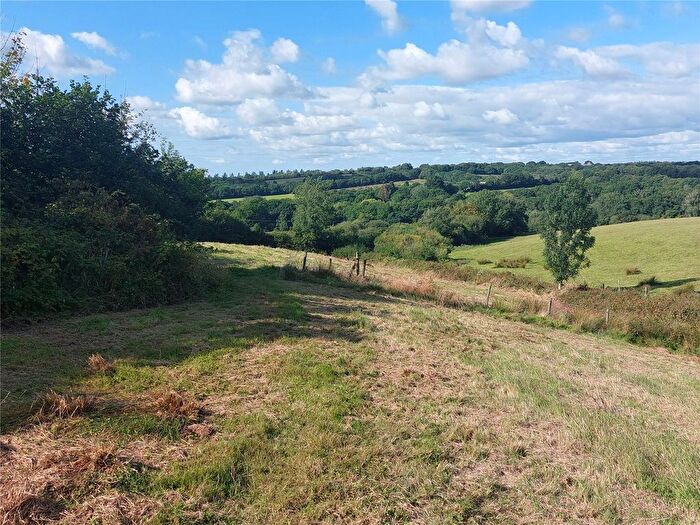 Land For Sale In East Chilla, Beaworthy, Devon, EX21