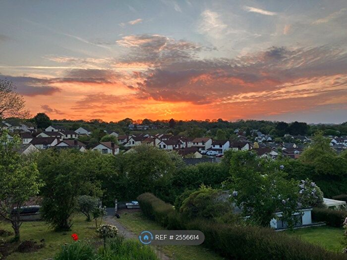 3 Bedroom Semi-Detached House To Rent In Denbury Road, Newton Abbot, TQ12