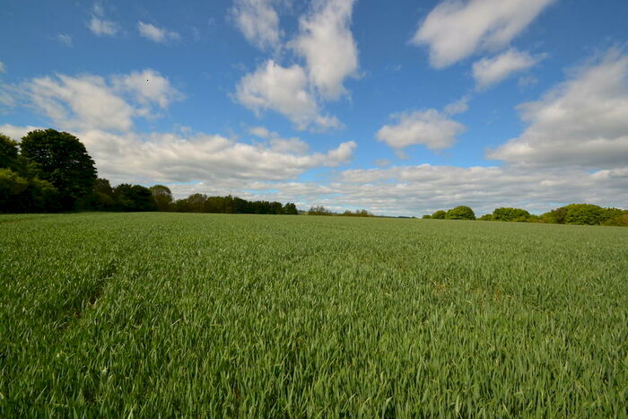 Farm Land For Sale In Stocksfield, NE43
