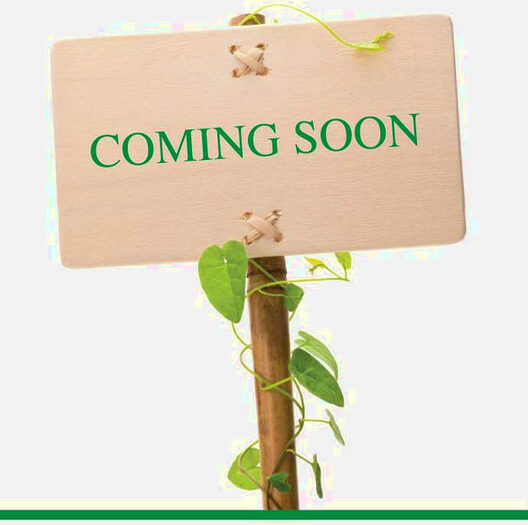 3 Bedroom House To Rent In Butterfly Way, Cradley Heath, B64