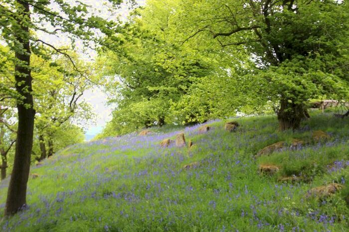 Property For Sale In Annathill Gardens, Annathill, Coatbridge, ML5