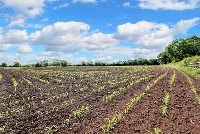 Land For Sale In Land At Castle Donnington, DE74