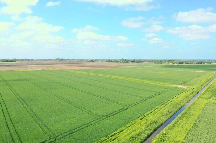 Farm Land For Sale In Oakhurst Farm Crowland Road Eye Peterborough - Lot, PE6