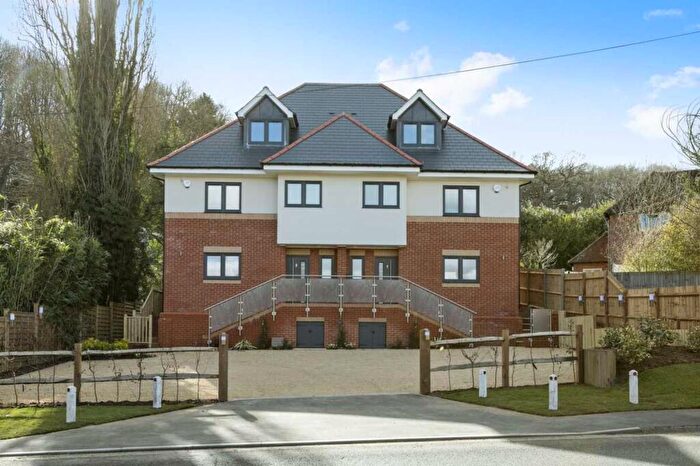 4 Bedroom Semi-Detached House To Rent In Birtley Road, Bramley, GU5