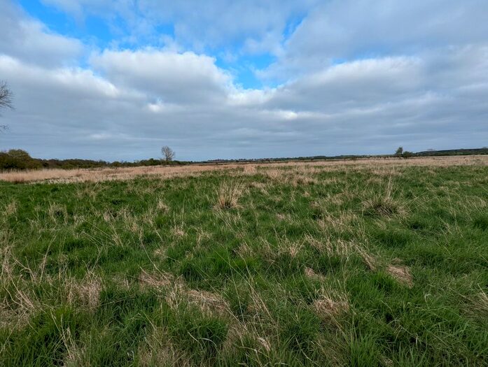 Land For Sale In Prestwick, Newcastle Upon Tyne, NE20