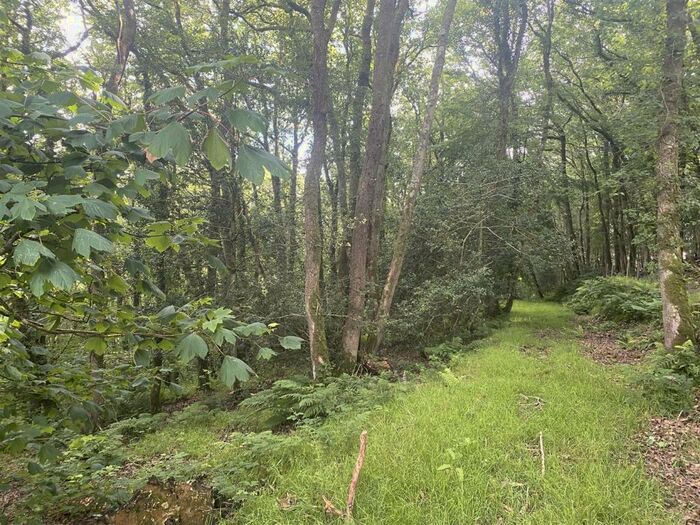 Land For Sale In Bwlchllan, Lampeter, SA48