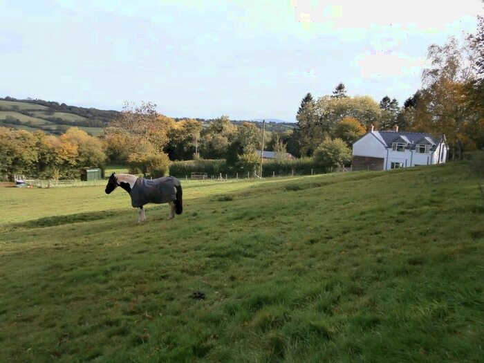 3 Bedroom Cottage For Sale In Hay On Wye, Craswall, Herefordshire, HR2