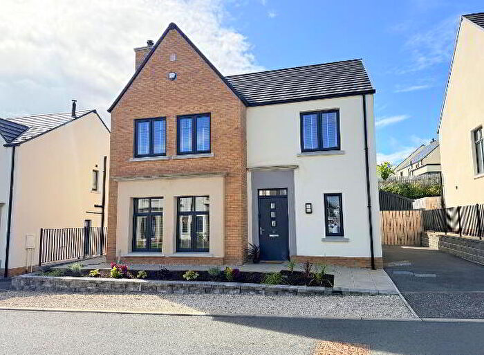 4 Bedroom Detached House For Sale In Edenbrook, Banbridge, BT32