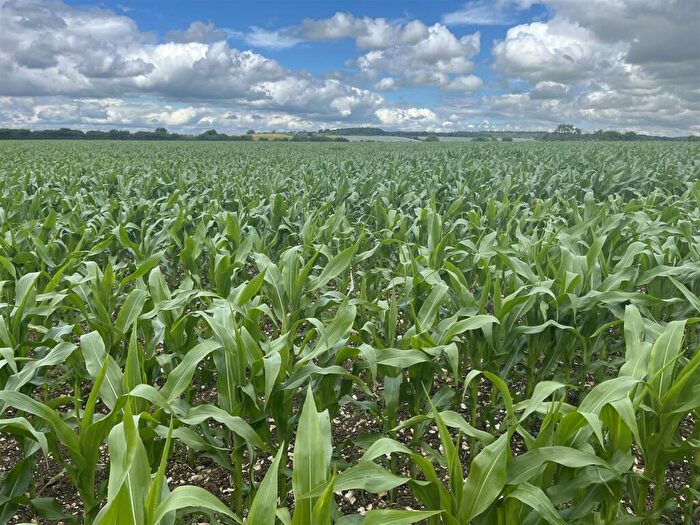 Land For Sale In Hindon, Salisbury, SP3