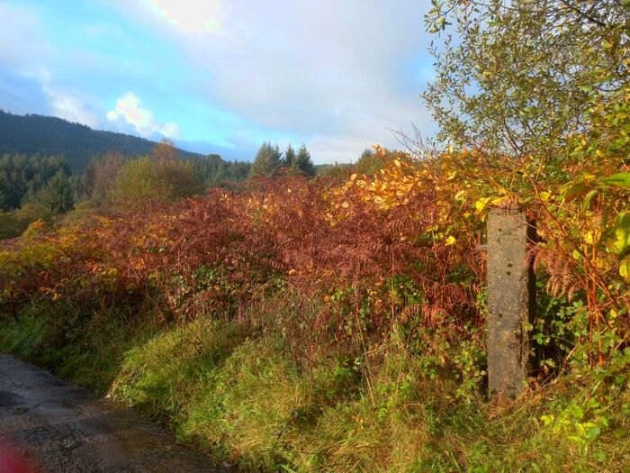 Land For Sale In Heol Gelli Lenor, Maesteg, CF34