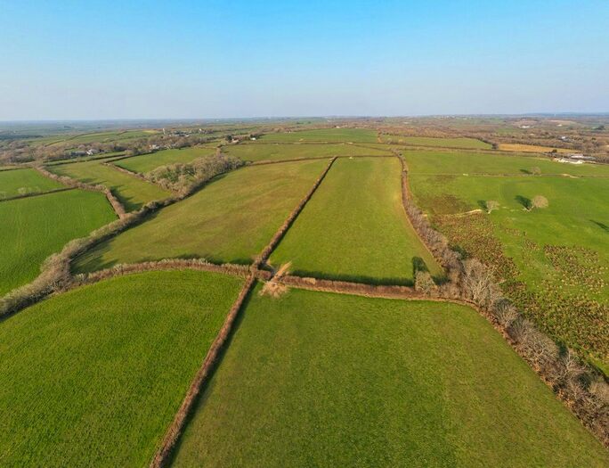 Land For Sale In Bridgerule, Holsworthy, Devon, EX22