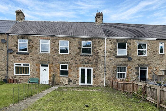 3 Bedroom Terraced House For Sale In Langley Street, Langley Park, Durham, County Durham, DH7