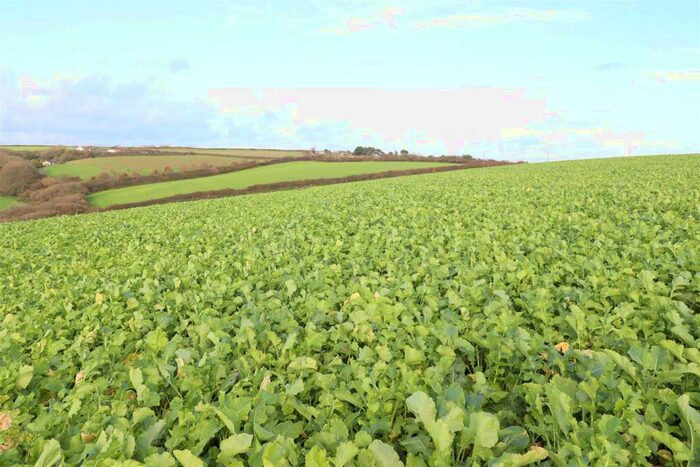 Land For Sale In St. Ewe, St. Austell, PL26