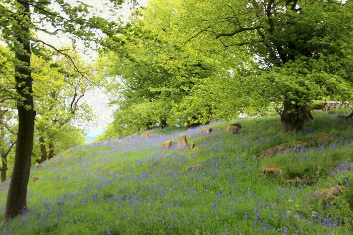 Property For Sale In South Medrox Farm - Lot, ML5