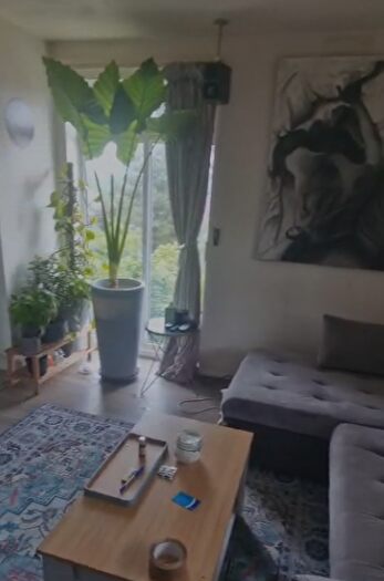 Studio To Rent In London, NW9