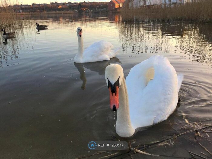 2 Bedroom Semi-Detached House To Rent In Ellingham View, Dartford, DA1