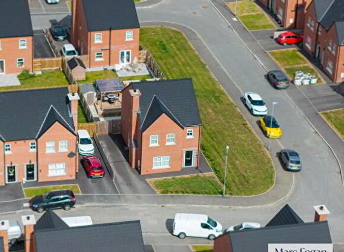 3 Bedroom Detached House For Sale In Rowan Manor, Craigavon, BT65