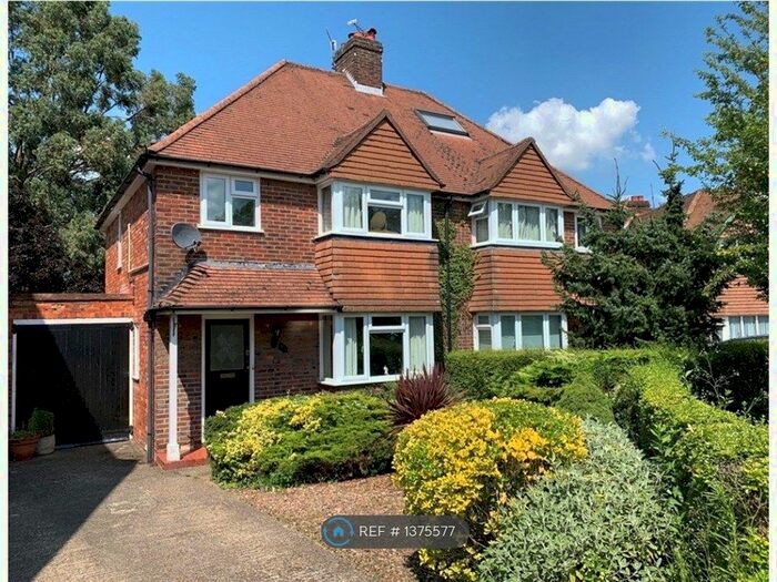 6 Bedroom Semi-Detached House To Rent In Beech Grove, Guildford, GU2