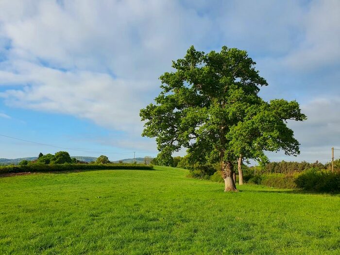 Land For Sale In Ridge Common Lane, Steep, GU32