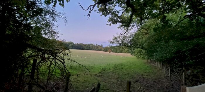 Land For Sale In Welders Lane, Gerrards Cross, SL9