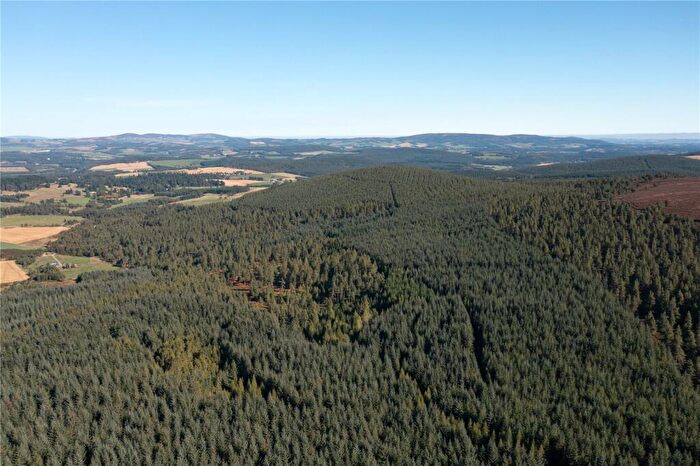 Land For Sale In Arntilly Wood, Banchory, Aberdeenshire, AB34