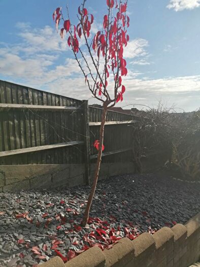 1 Bedroom House To Rent In Neville Road, Bristol, BS15