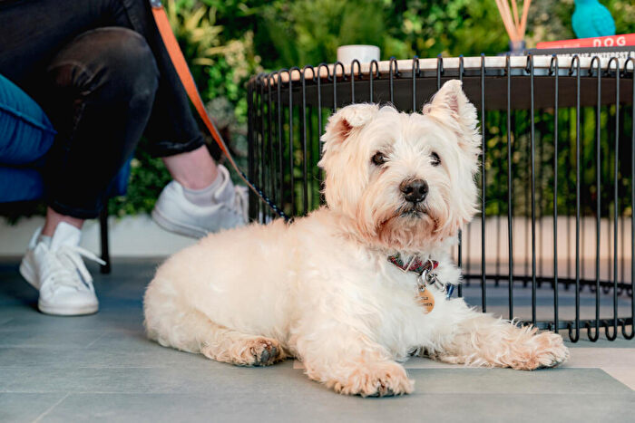 2 Bedroom Apartment To Rent In Silvertown Way, London, E16