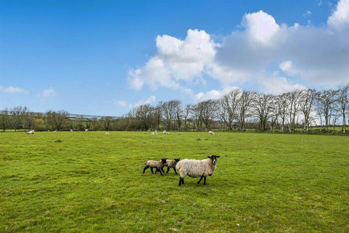 Land For Sale In Trinity Hill Road, Combpyne, Axminster, EX13