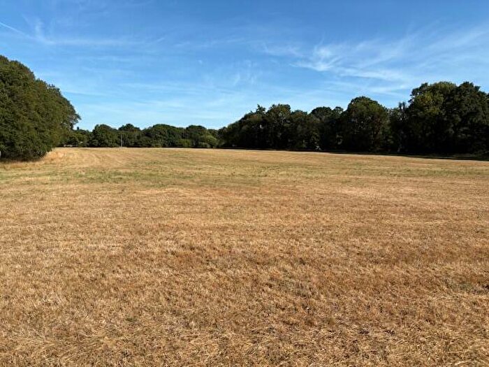 Farm Land For Sale In Lot - Tupps Field, Passfield Road, GU30