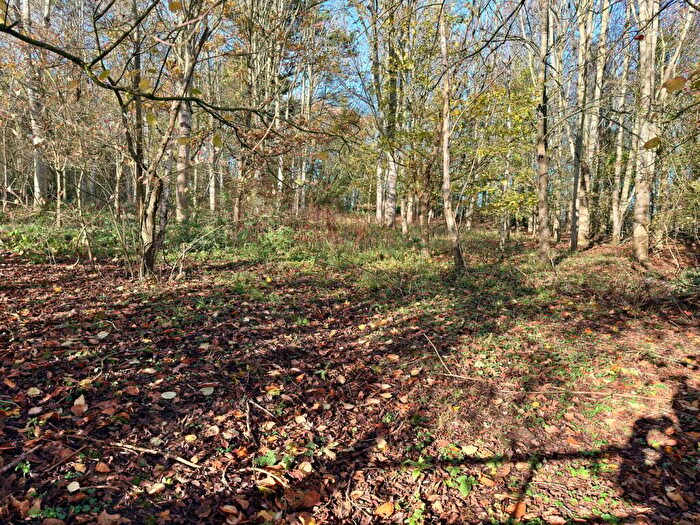 3 Bedroom Detached Bungalow For Sale In Wood Street, Bushley, Tewkesbury, GL20