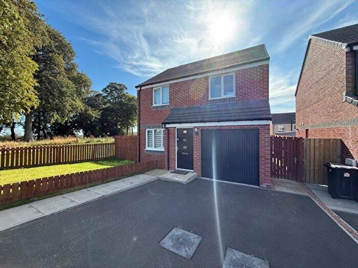 3 Bedroom Detached House To Rent In Seggie Drive, Guardbridge, Fife, KY16