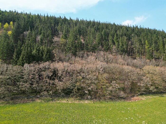 Land For Sale In Coed Dysynni, LL36
