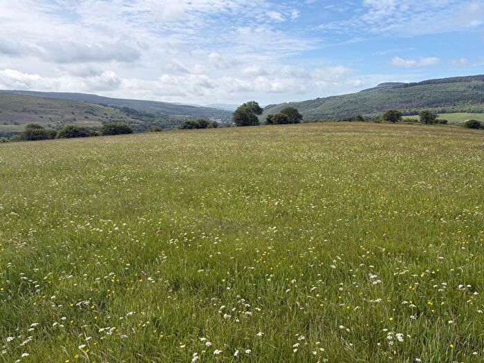 Land For Sale In Crynant, Neath, Neath Port Talbot., SA10
